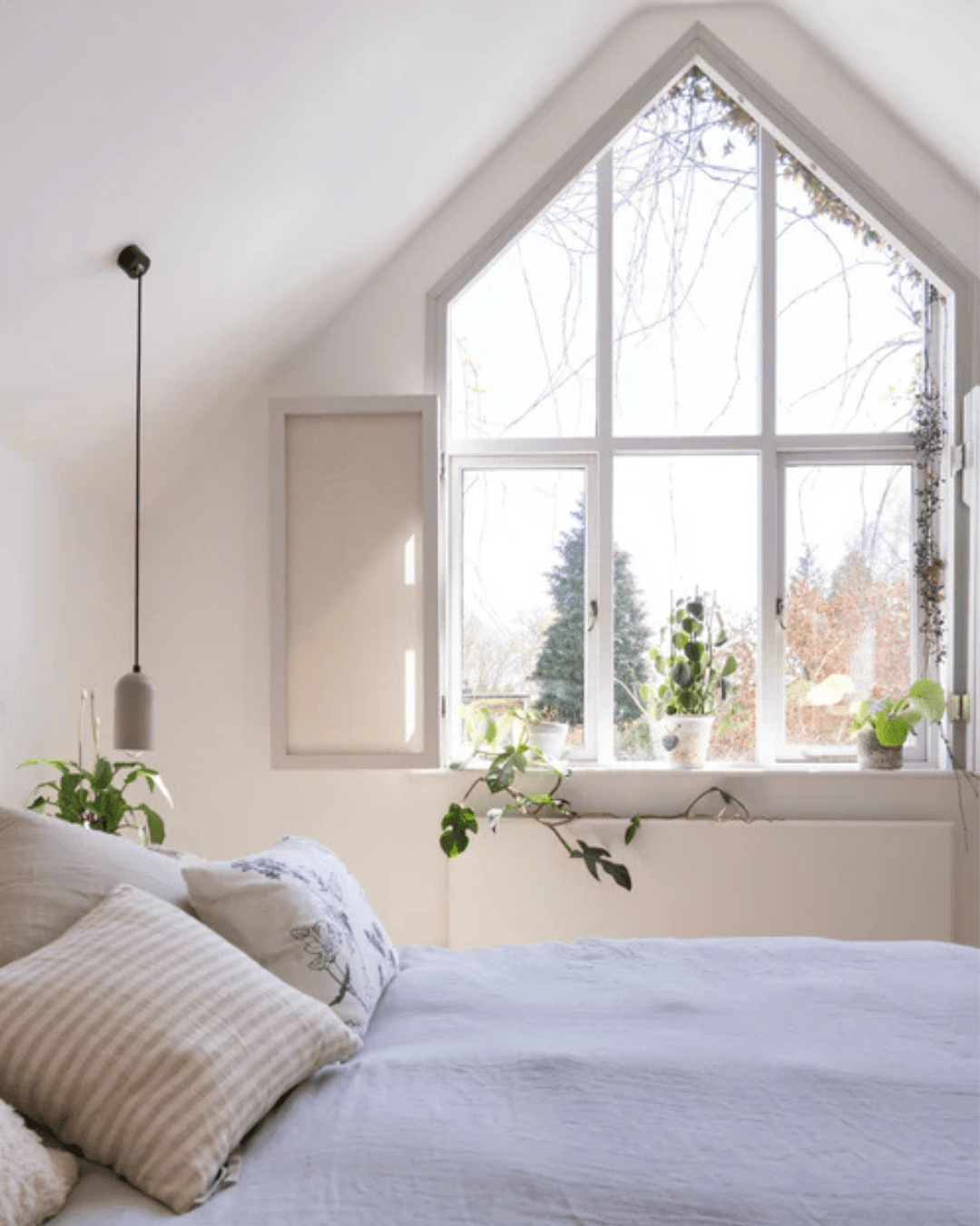 Window Installed in Carmarthen